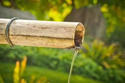 Comment obtenir un jardin zen ?