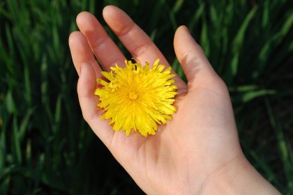 Découvrez les bienfaits des engrais naturels !