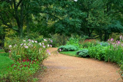 Les atouts du gravier de marbre rose pour sublimer votre jardin