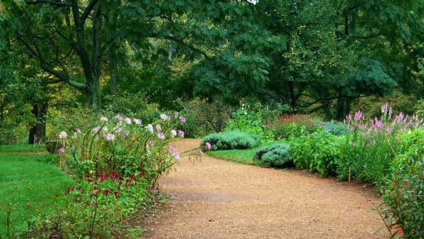 Les atouts du gravier de marbre rose pour sublimer votre jardin